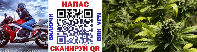 Марихуана OG Kush  Поронайск 